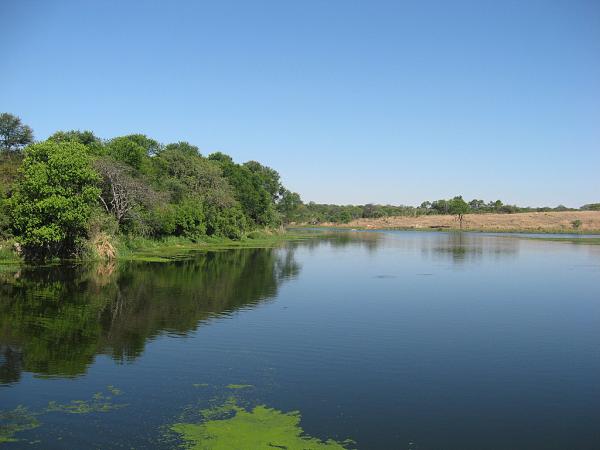 Zimbabwe - Parc privé d\'Antilope Park