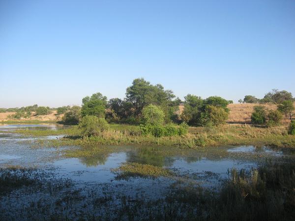 Zimbabwe - Parc privé d\'Antilope Park