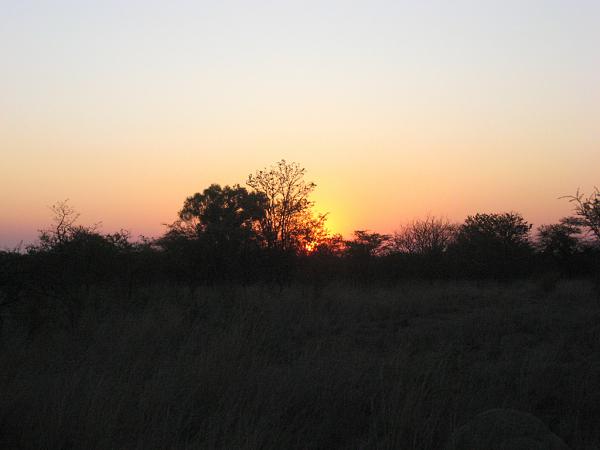 Zimbabwe - Parc privé d\'Antilope Park