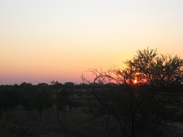 Zimbabwe - Parc privé d\'Antilope Park