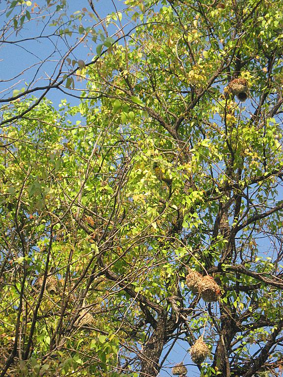 Zimbabwe - Sur la route entre Harare et le lac Kariba