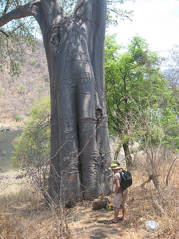 Zimbabwe - Canoë sur le Zambèze entre Kariba et Mana Pools - Jour 1