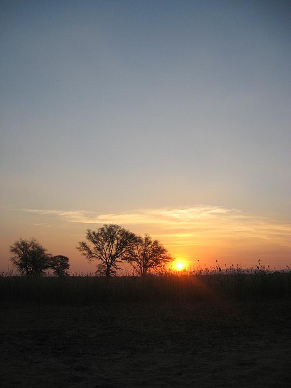 Zimbabwe - Canoë sur le Zambèze entre Kariba et Mana Pools - Jour 2