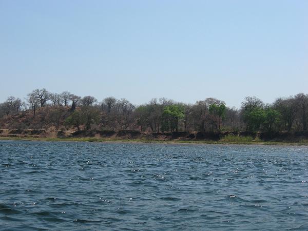 Zimbabwe - Canoë sur le Zambèze entre Kariba et Mana Pools - Jour 2