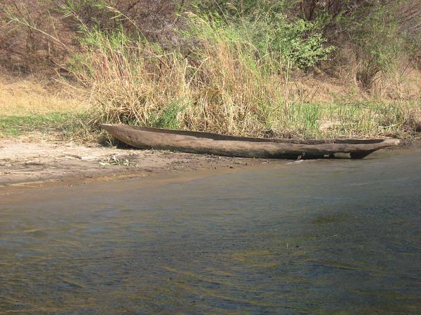 Zimbabwe - Canoë sur le Zambèze entre Kariba et Mana Pools - Jour 2