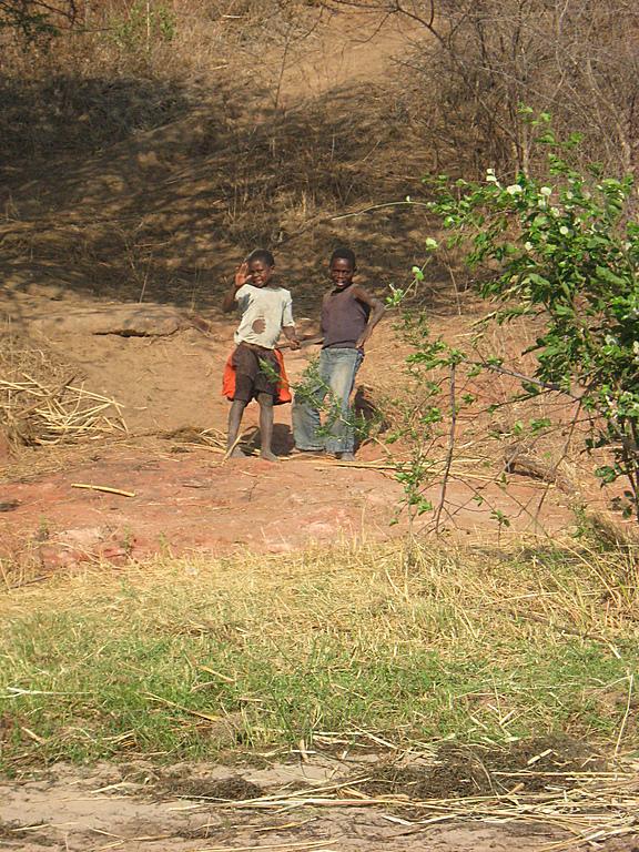 Zimbabwe - Canoë sur le Zambèze entre Kariba et Mana Pools - Jour 2