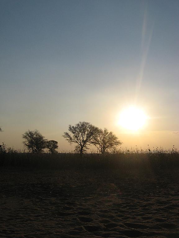 Zimbabwe - Canoë sur le Zambèze entre Kariba et Mana Pools - Jour 2