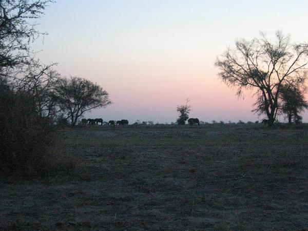 Zimbabwe - Canoë sur le Zambèze entre Kariba et Mana Pools - Jour 2