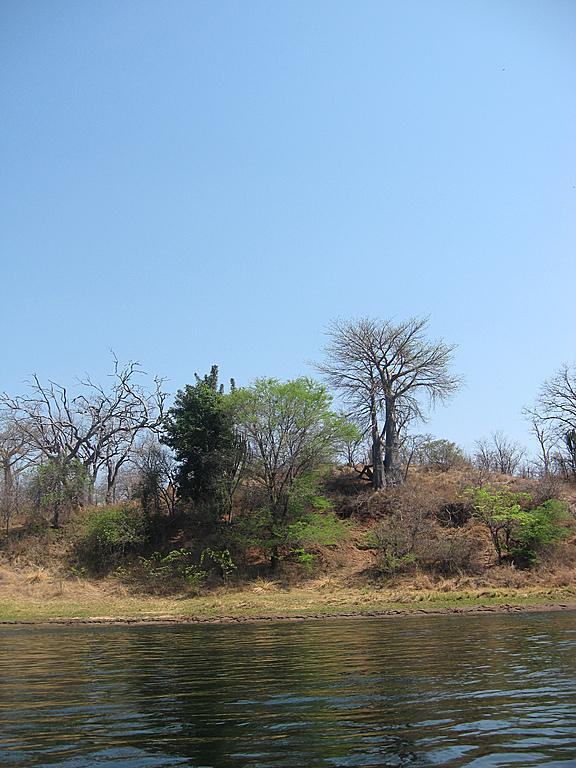 Zimbabwe - Canoë sur le Zambèze entre Kariba et Mana Pools - Jour 2