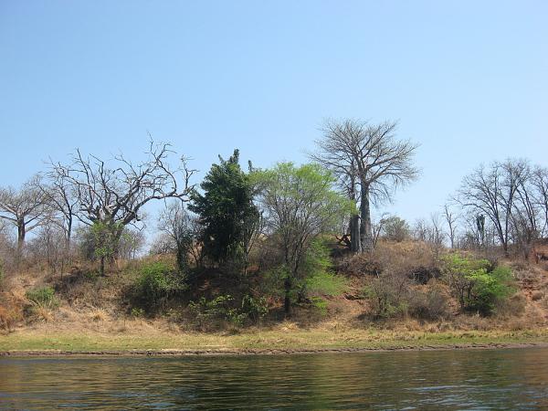 Zimbabwe - Canoë sur le Zambèze entre Kariba et Mana Pools - Jour 2