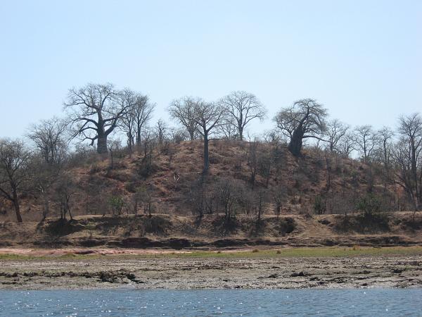 Zimbabwe - Canoë sur le Zambèze entre Kariba et Mana Pools - Jour 2
