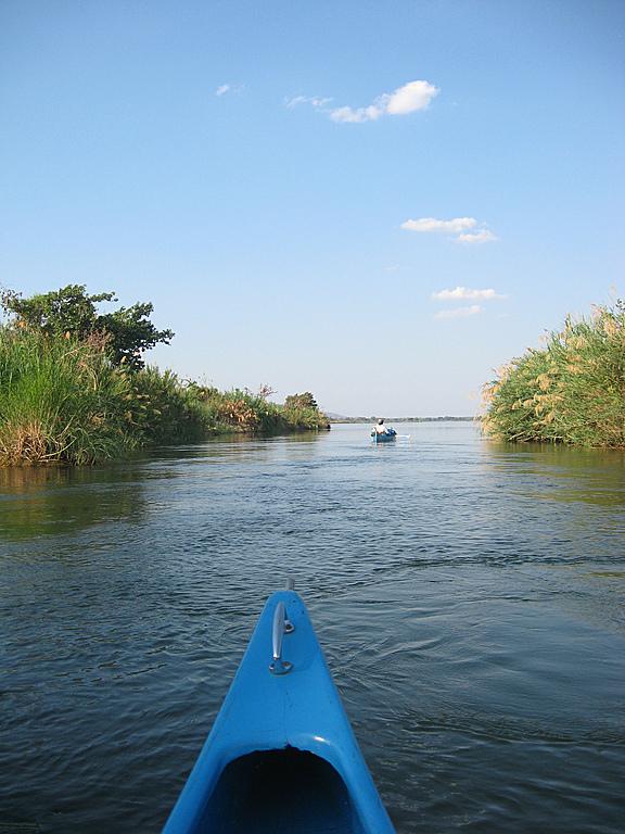 Zimbabwe - Canoë sur le Zambèze entre Kariba et Mana Pools - Jour 2