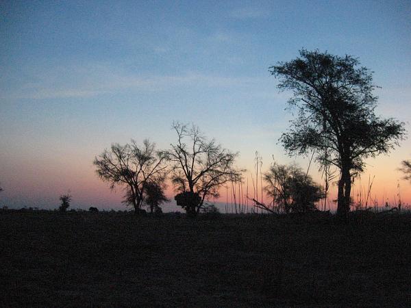 Zimbabwe - Canoë sur le Zambèze entre Kariba et Mana Pools - Jour 2