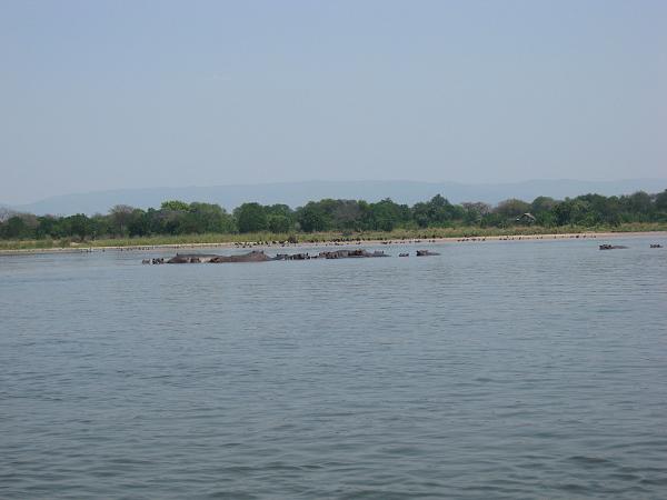 Zimbabwe - Canoë sur le Zambèze entre Kariba et Mana Pools - Jour 3