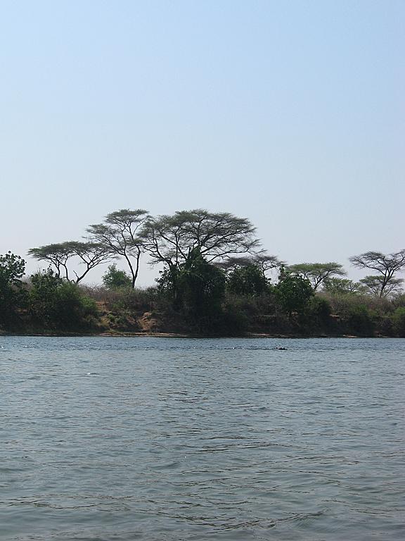 Zimbabwe - Canoë sur le Zambèze entre Kariba et Mana Pools - Jour 3