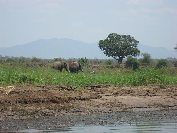 Zimbabwe - Canoë sur le Zambèze entre Kariba et Mana Pools - Jour 3