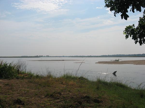 Zimbabwe - Canoë sur le Zambèze entre Kariba et Mana Pools - Jour 4