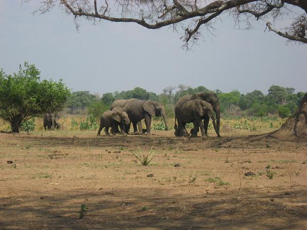 Zimbabwe - Canoë sur le Zambèze entre Kariba et Mana Pools - Jour 4