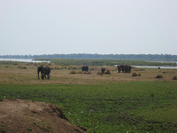 Zimbabwe - Canoë sur le Zambèze entre Kariba et Mana Pools - Jour 4
