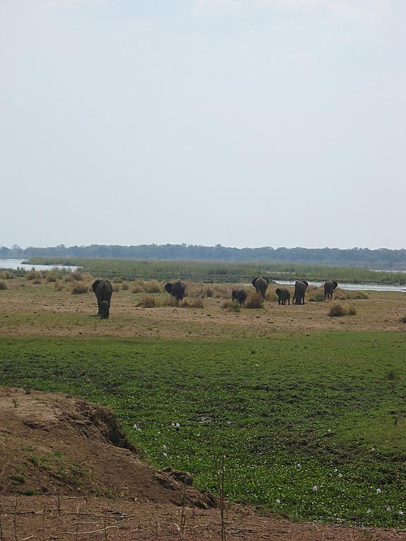 Zimbabwe - Canoë sur le Zambèze entre Kariba et Mana Pools - Jour 4