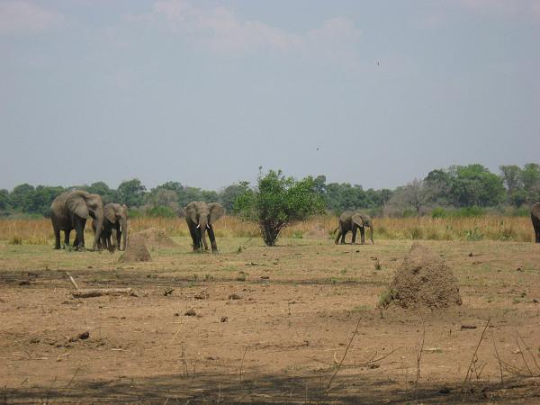 Zimbabwe - Canoë sur le Zambèze entre Kariba et Mana Pools - Jour 4