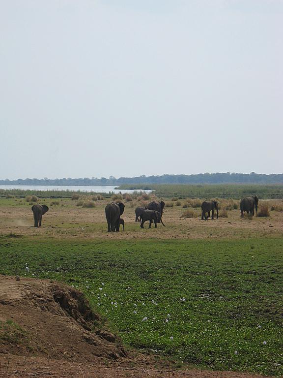 Zimbabwe - Canoë sur le Zambèze entre Kariba et Mana Pools - Jour 4