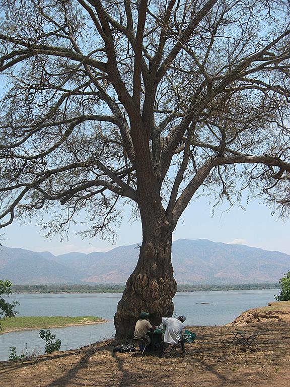 Zimbabwe - Canoë sur le Zambèze entre Kariba et Mana Pools - Jour 4