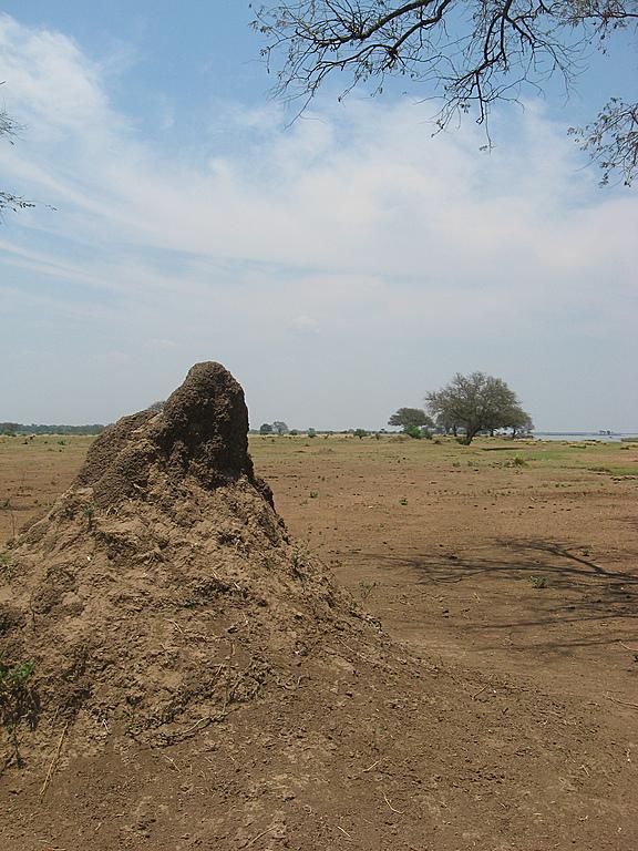Zimbabwe - Canoë sur le Zambèze entre Kariba et Mana Pools - Jour 4