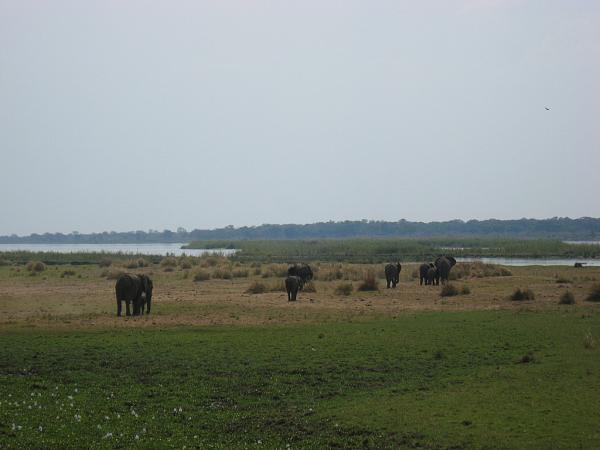 Zimbabwe - Canoë sur le Zambèze entre Kariba et Mana Pools - Jour 4