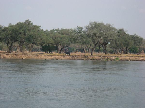 Zimbabwe - Canoë sur le Zambèze entre Kariba et Mana Pools - Jour 5