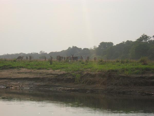 Zimbabwe - Canoë sur le Zambèze entre Kariba et Mana Pools - Jour 5