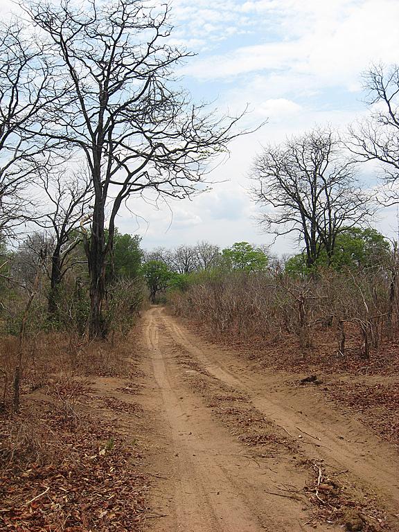 Zimbabwe - Parc naturel de Mana Pools