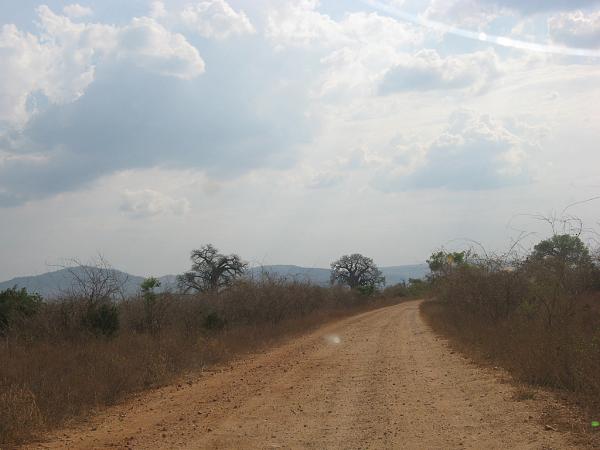 Zimbabwe - Parc naturel de Mana Pools
