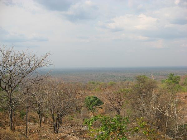 Zimbabwe - Parc naturel de Mana Pools
