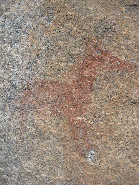 Zimbabwe - Peintures rupestres à Ngomakurira (falaise)