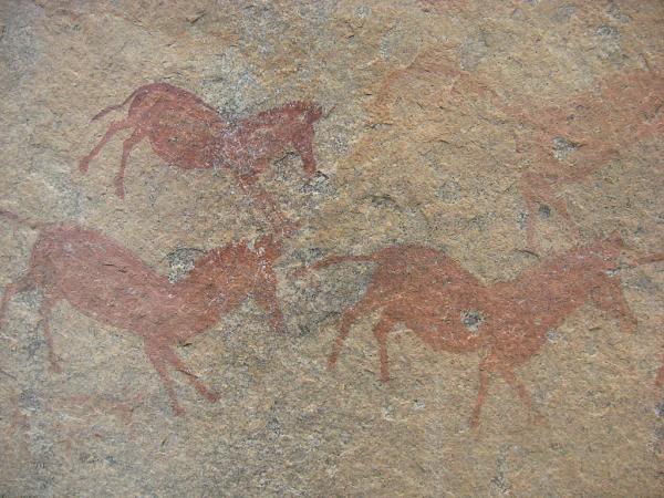 Zimbabwe - Peintures rupestres à Ngomakurira (falaise)