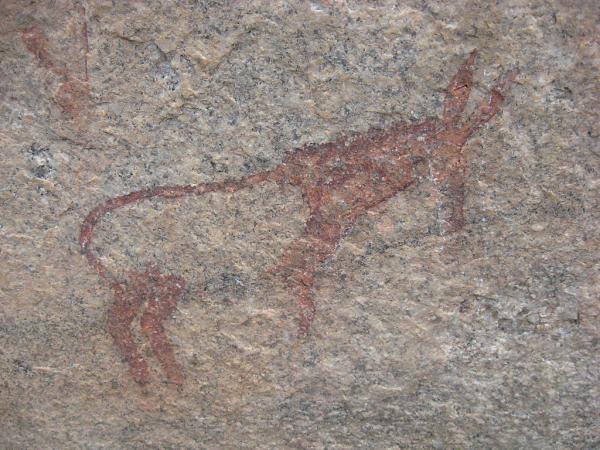 Zimbabwe - Peintures rupestres à Ngomakurira (falaise)
