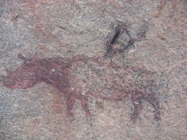 Zimbabwe - Peintures rupestres à Ngomakurira (falaise)