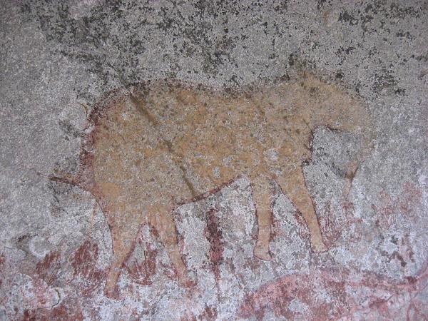 Zimbabwe - VTT près de Monwe, peintures rupestres